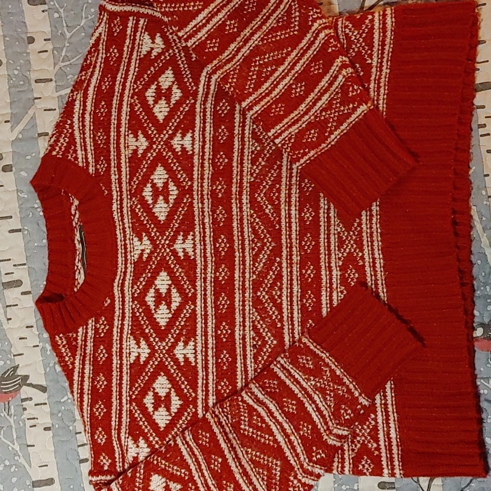 Amercian Eagle Sweater